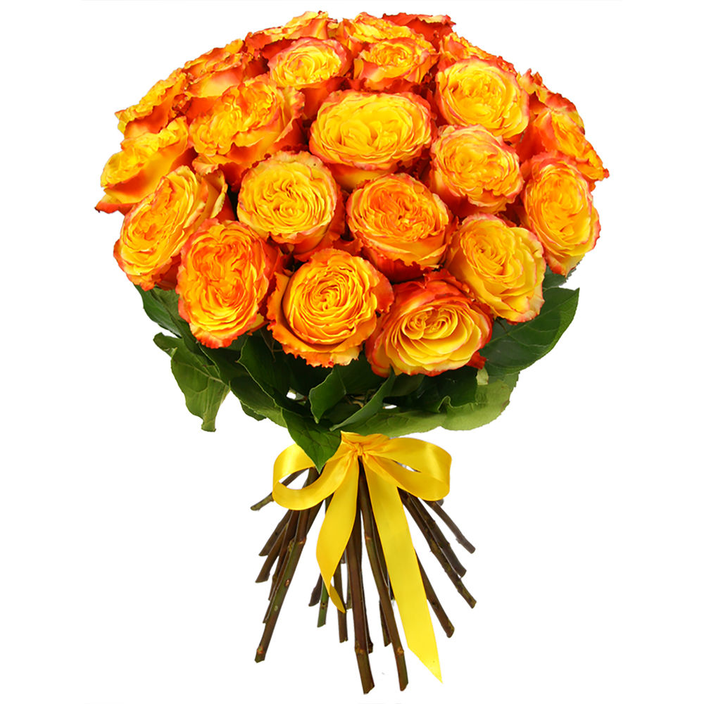 Букет 25 желтых роз Эквадор