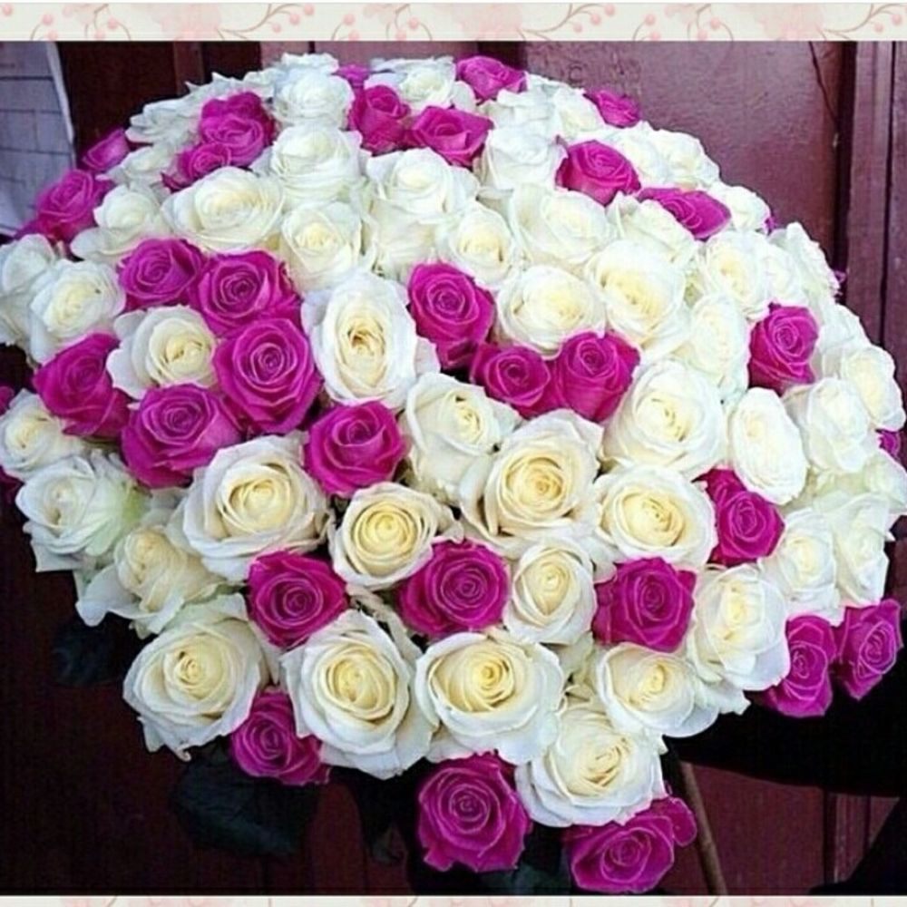 Шикарный букет белоснежных роз много цветов