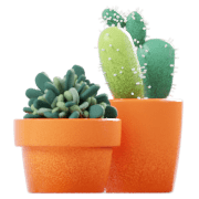 Plantes vertes