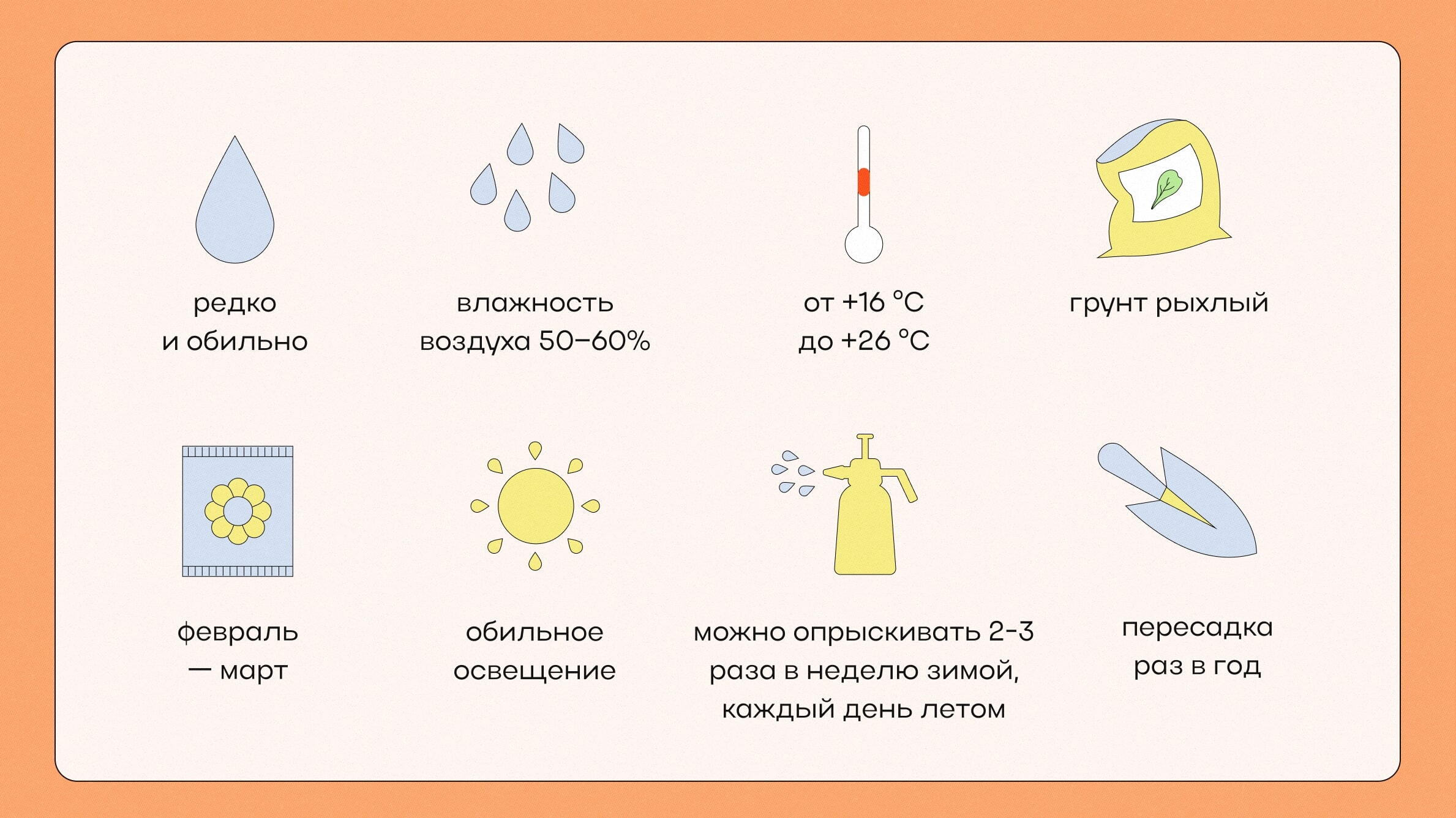 Как ухаживать за домашней или комнатной розой в домашних условиях