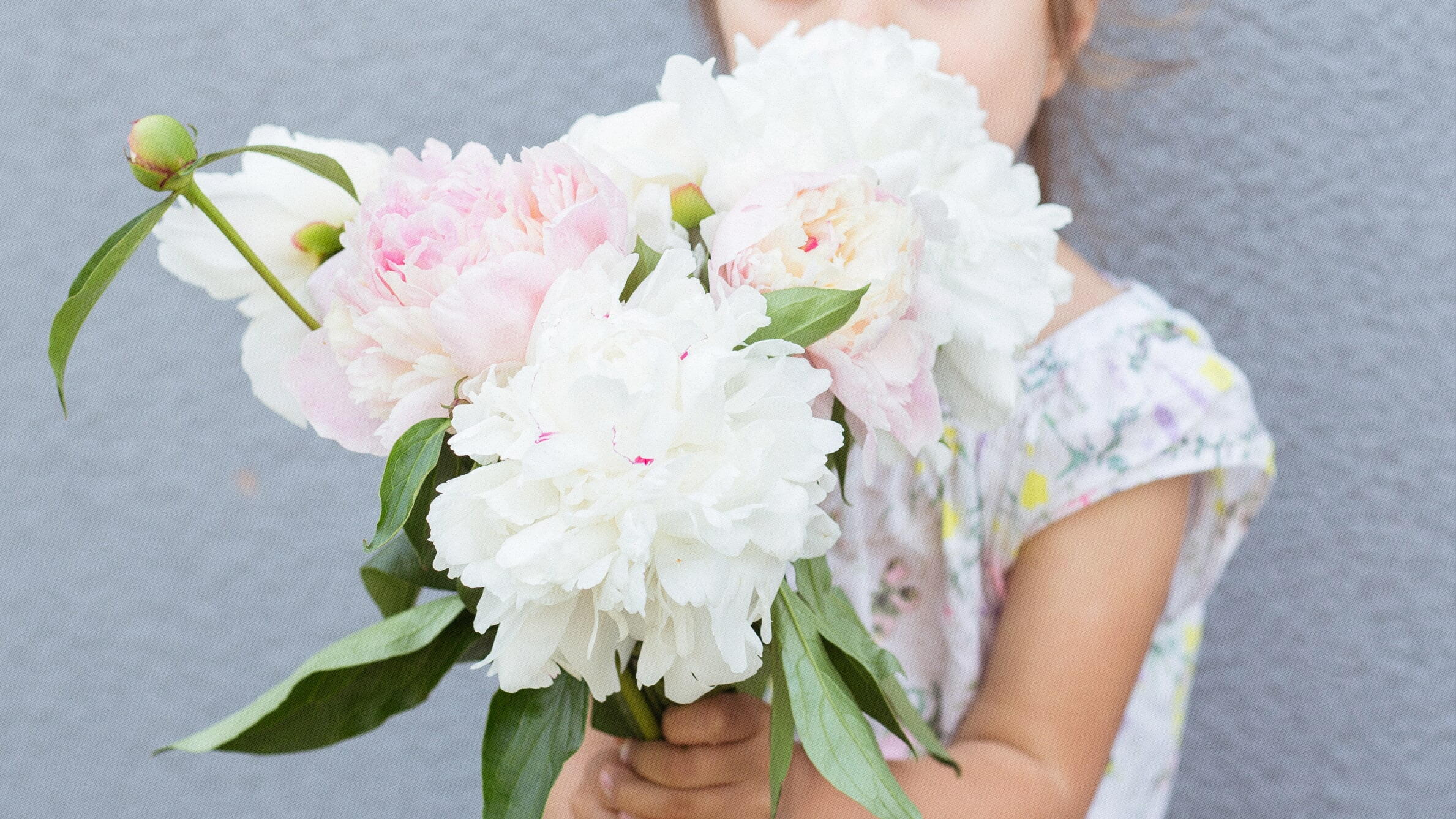When to give peony flowers