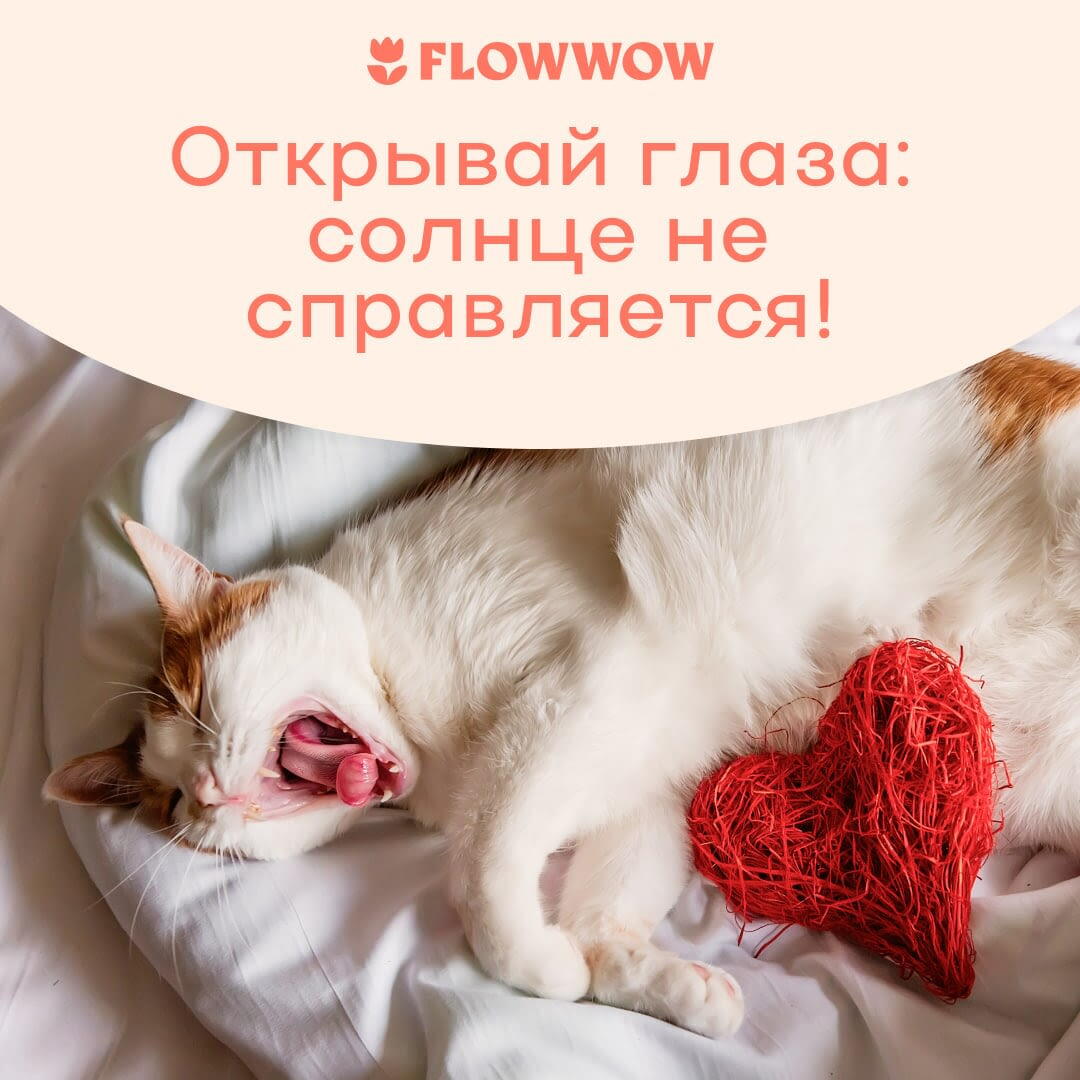 Открытки с добрым утром прикольные