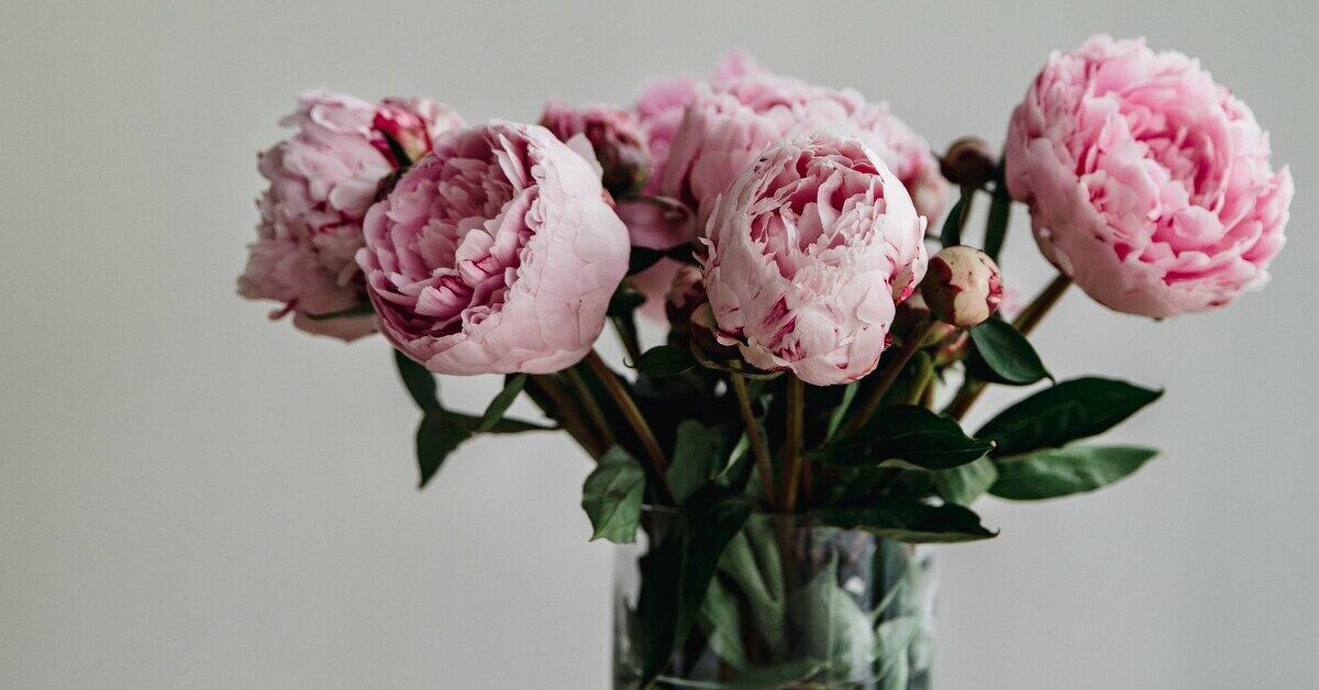 Живые цветы в вазе: подборка картинок
