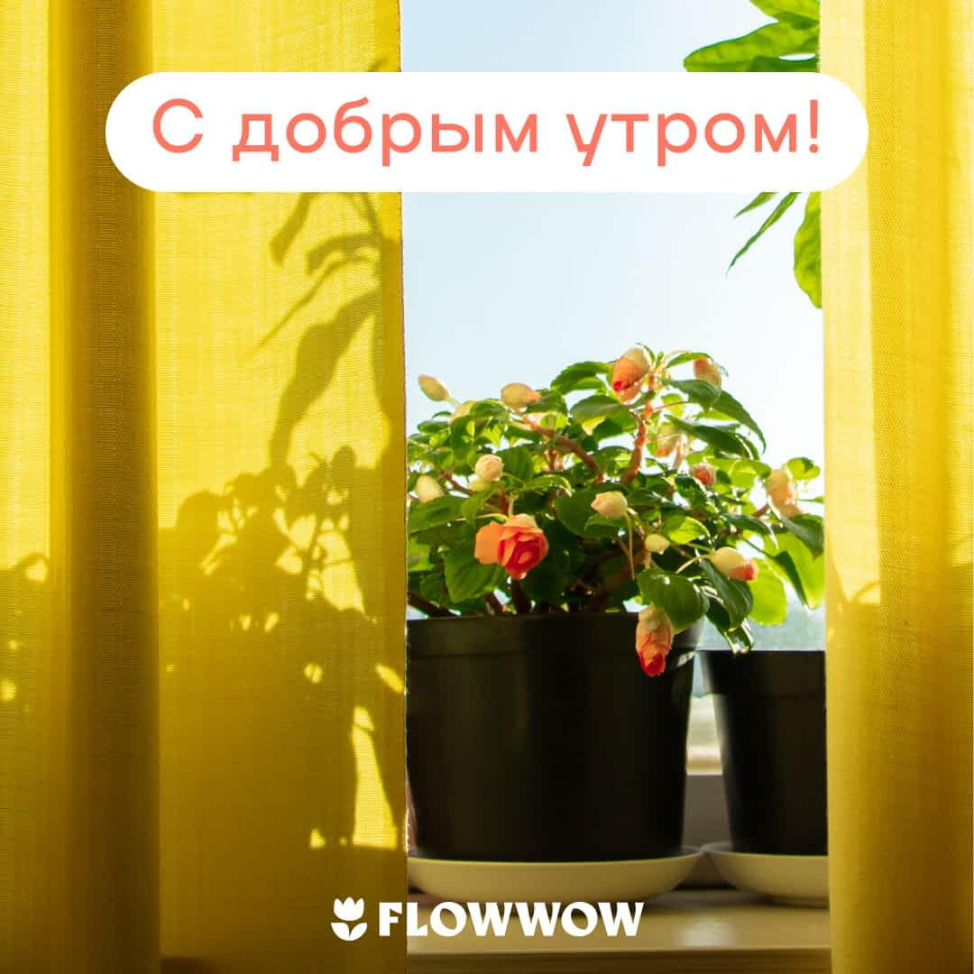 Открытки с добрым утром