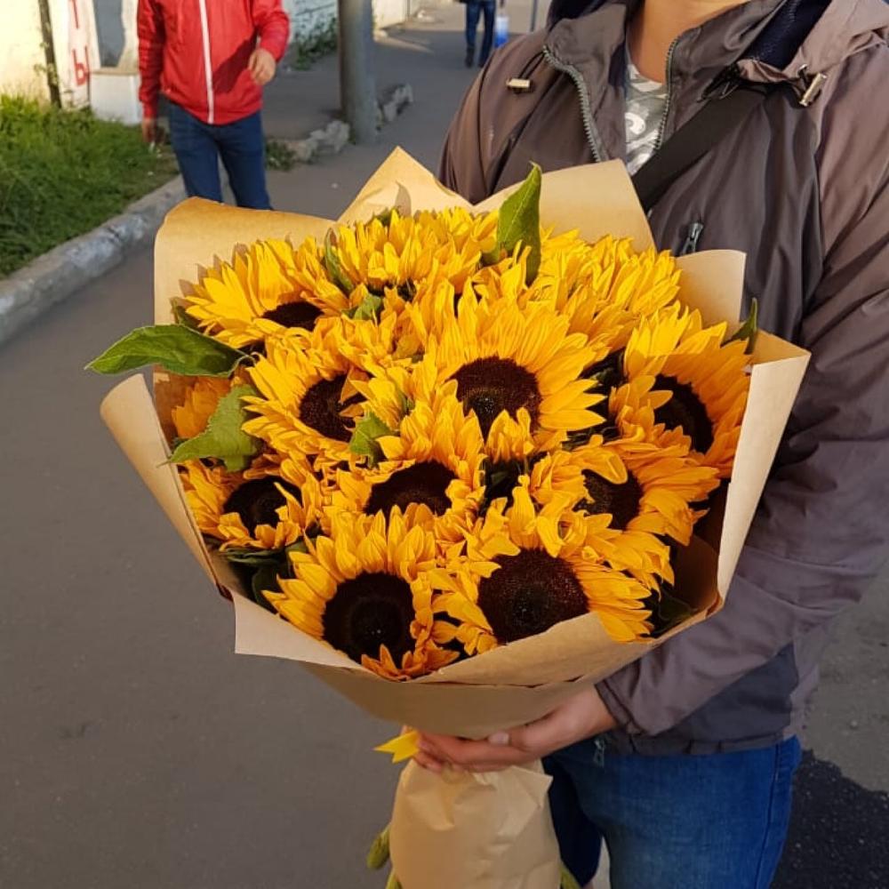 Подсолнух