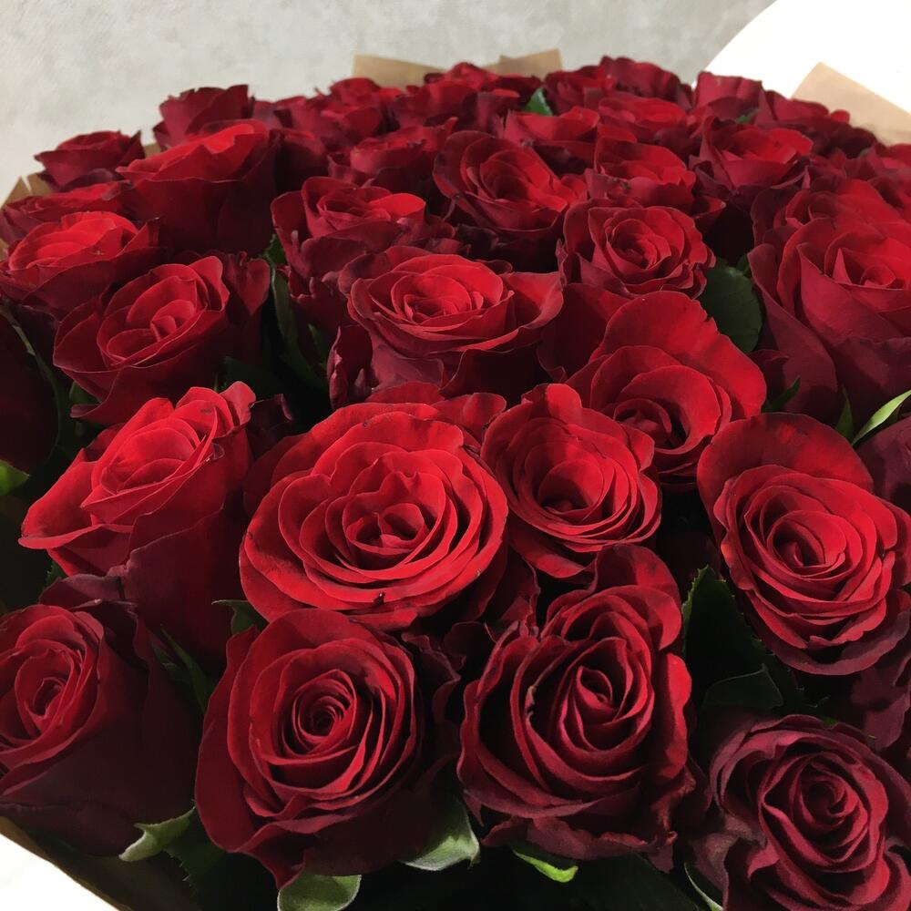 Red Rubin