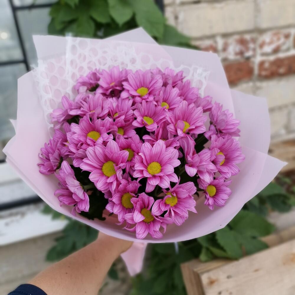 Розовые ромашки