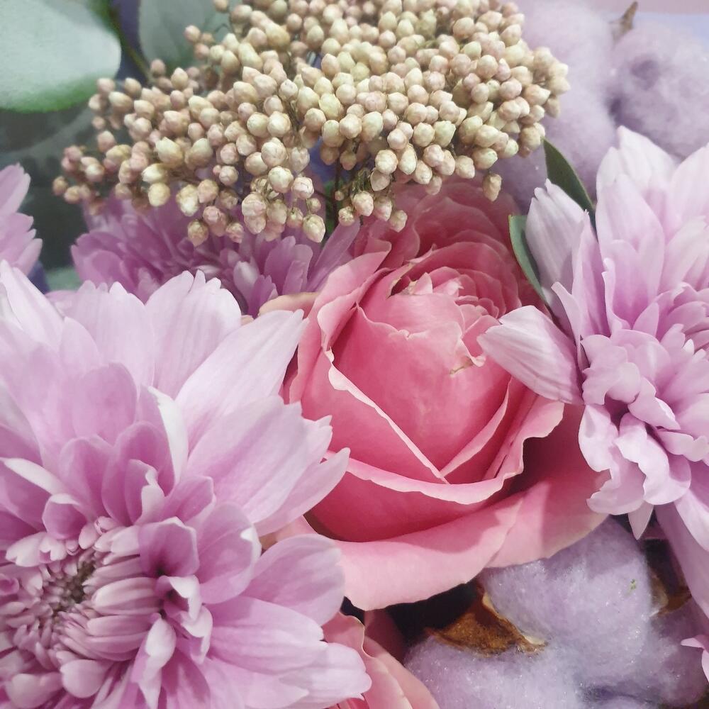 Softness