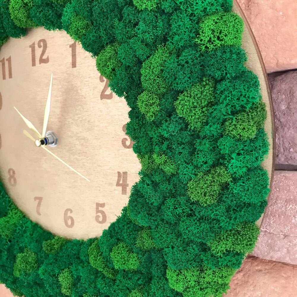 Часы со стабилизированным мхом 🌳