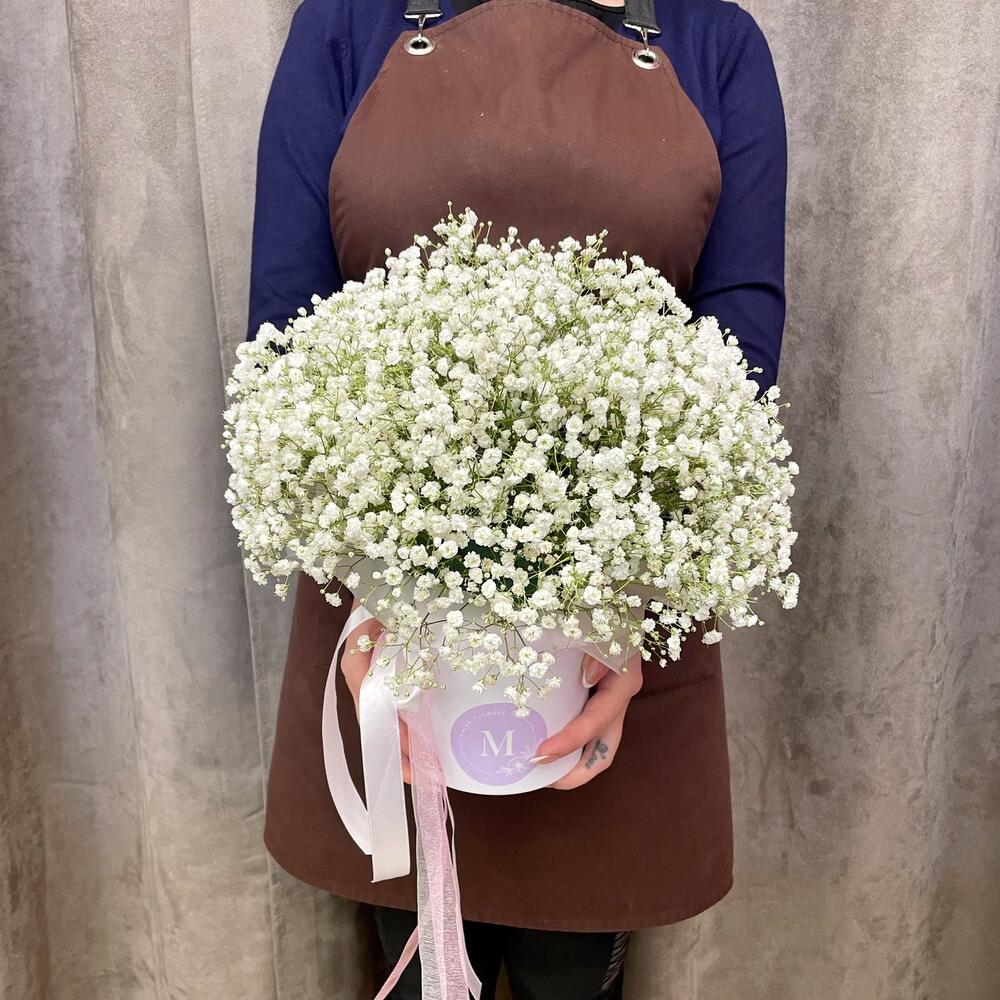 An air cloud of gypsophila in a box