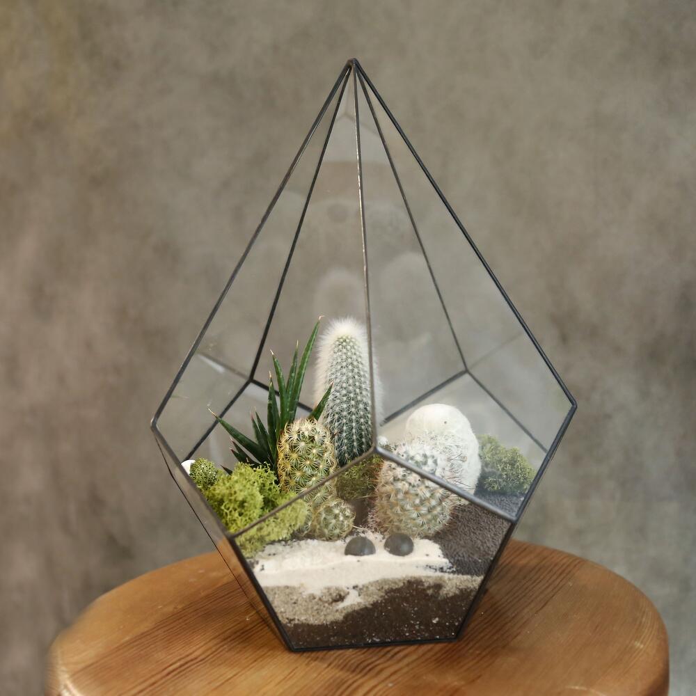 Micro world