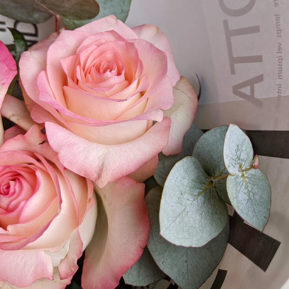5 pink roses