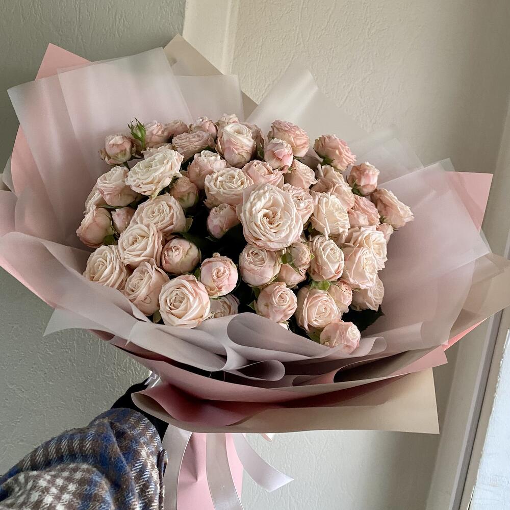 Rosas 9