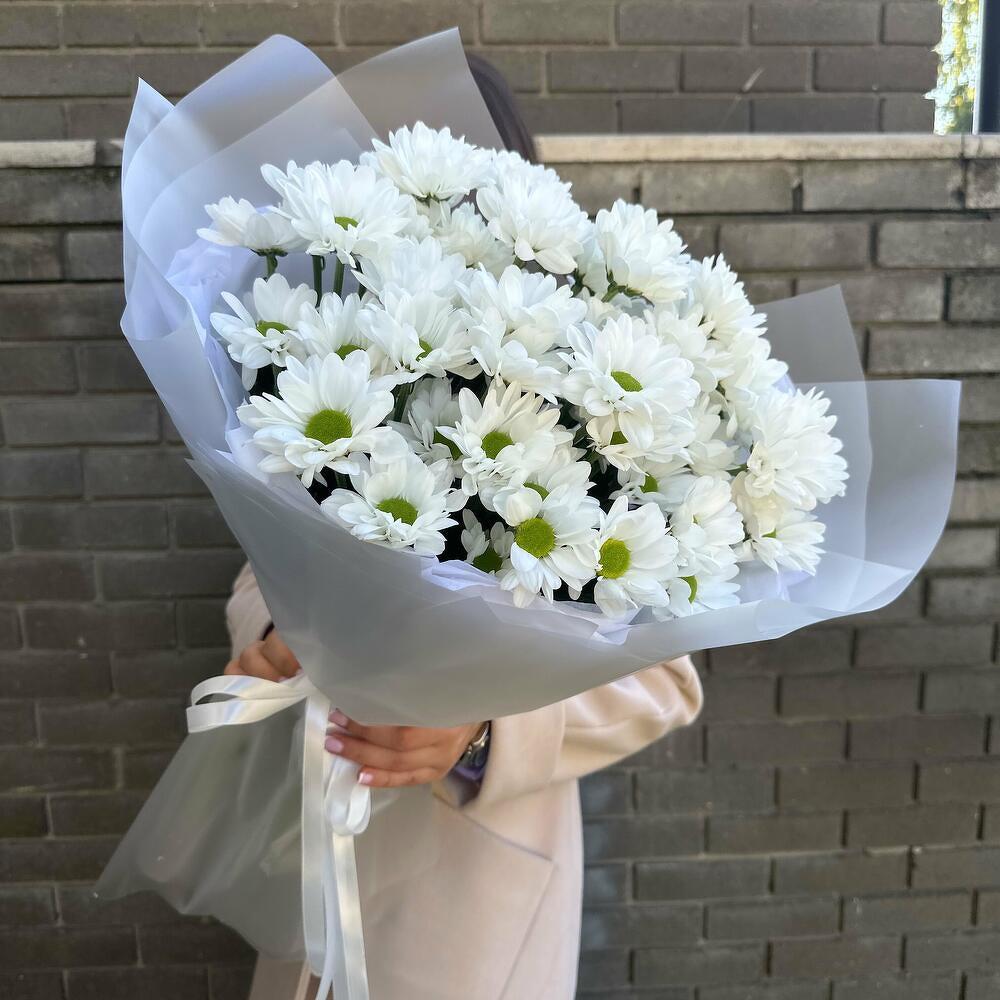 Bush Chrysanthemums in a package