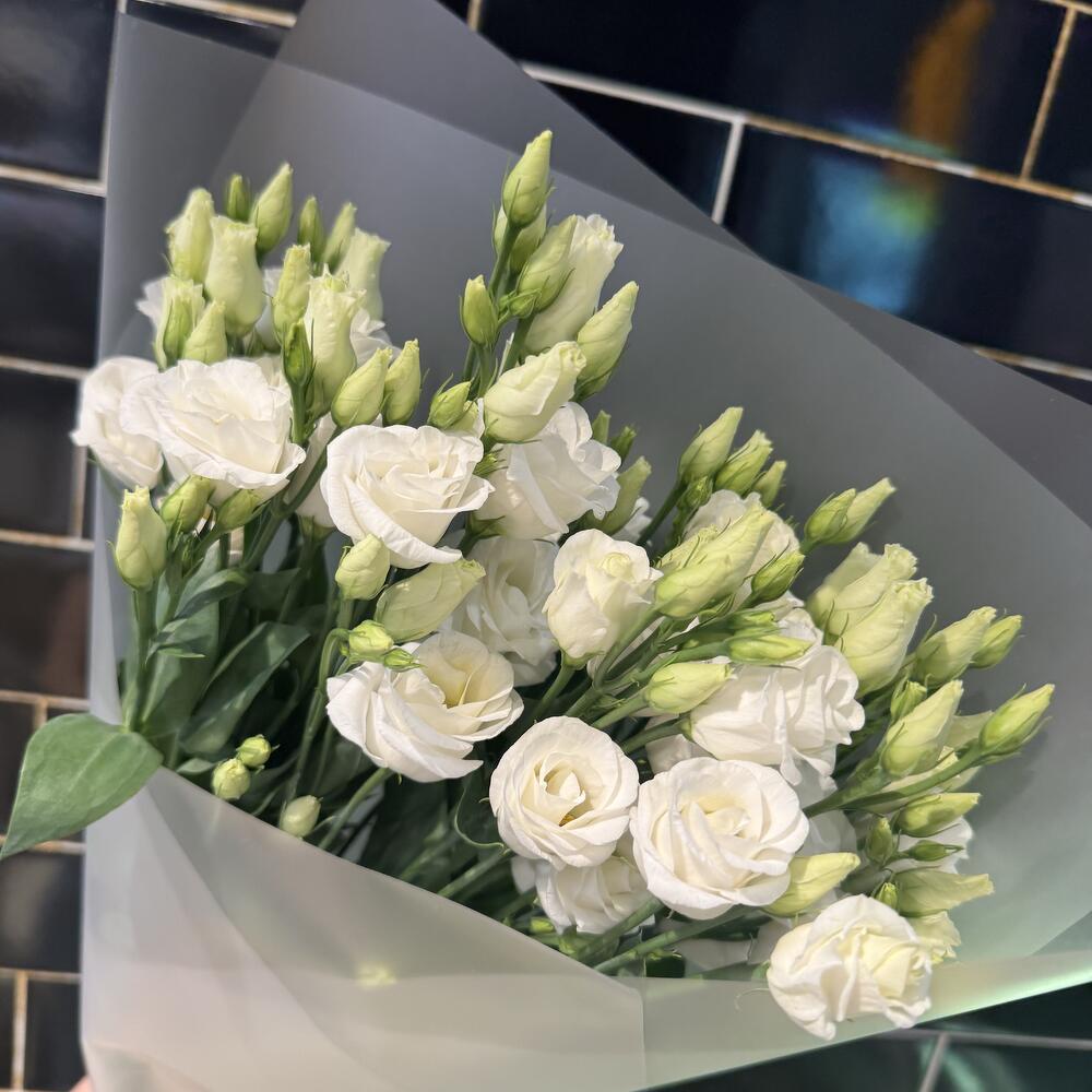 Eustoma