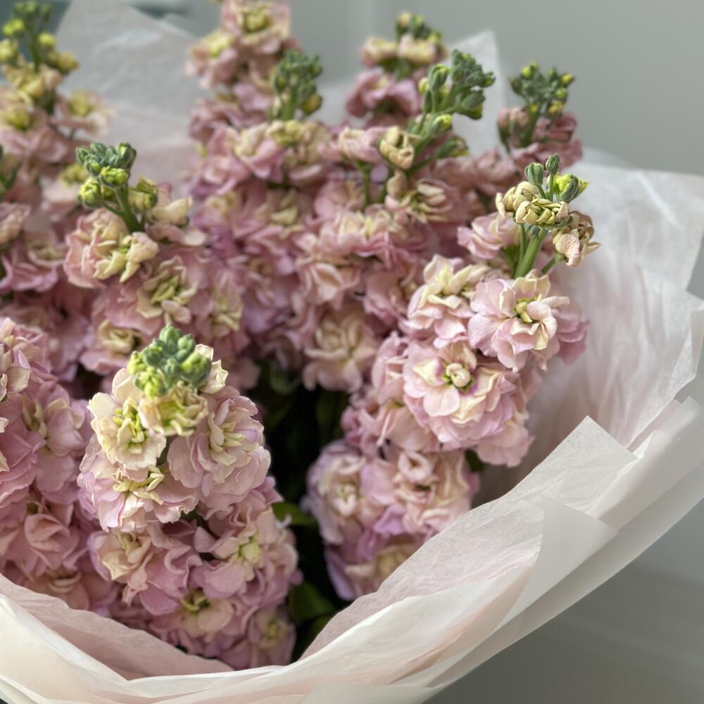 Букет персиковой маттиолы,11 шт