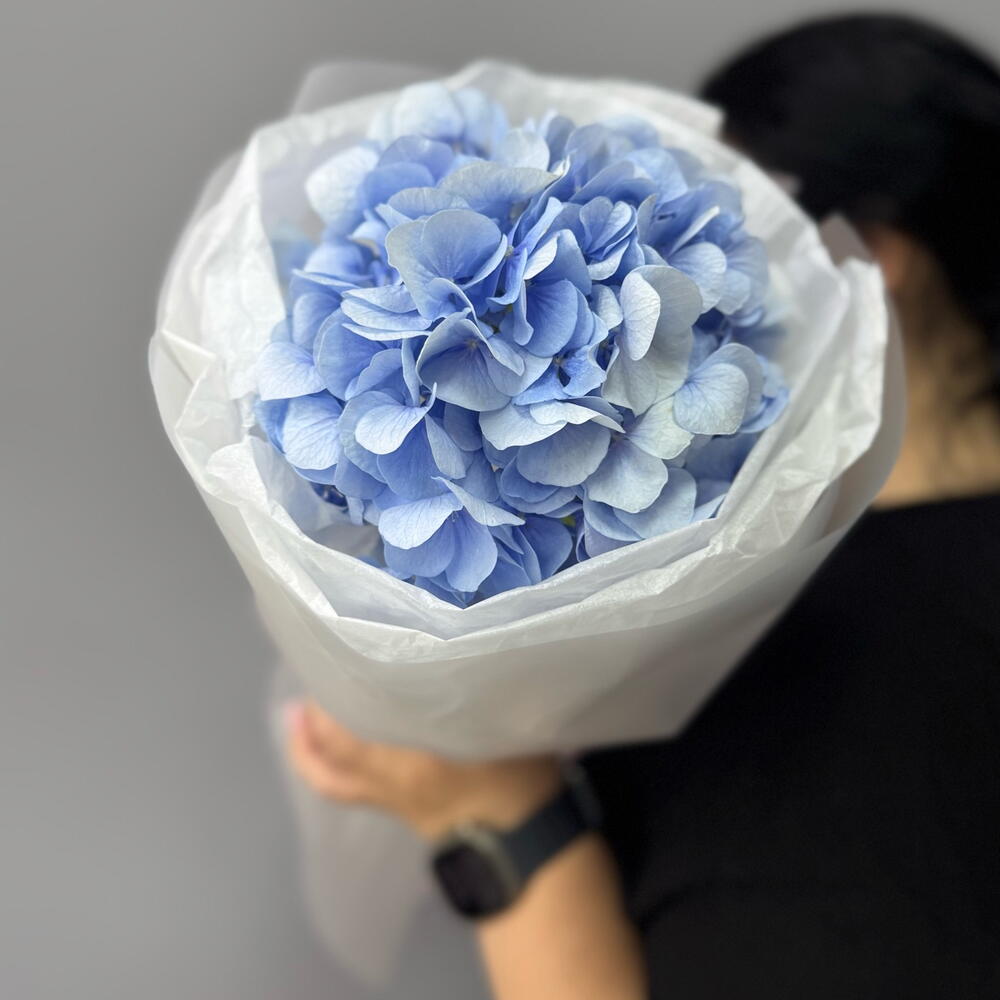 Нежность 💙 Гортензия