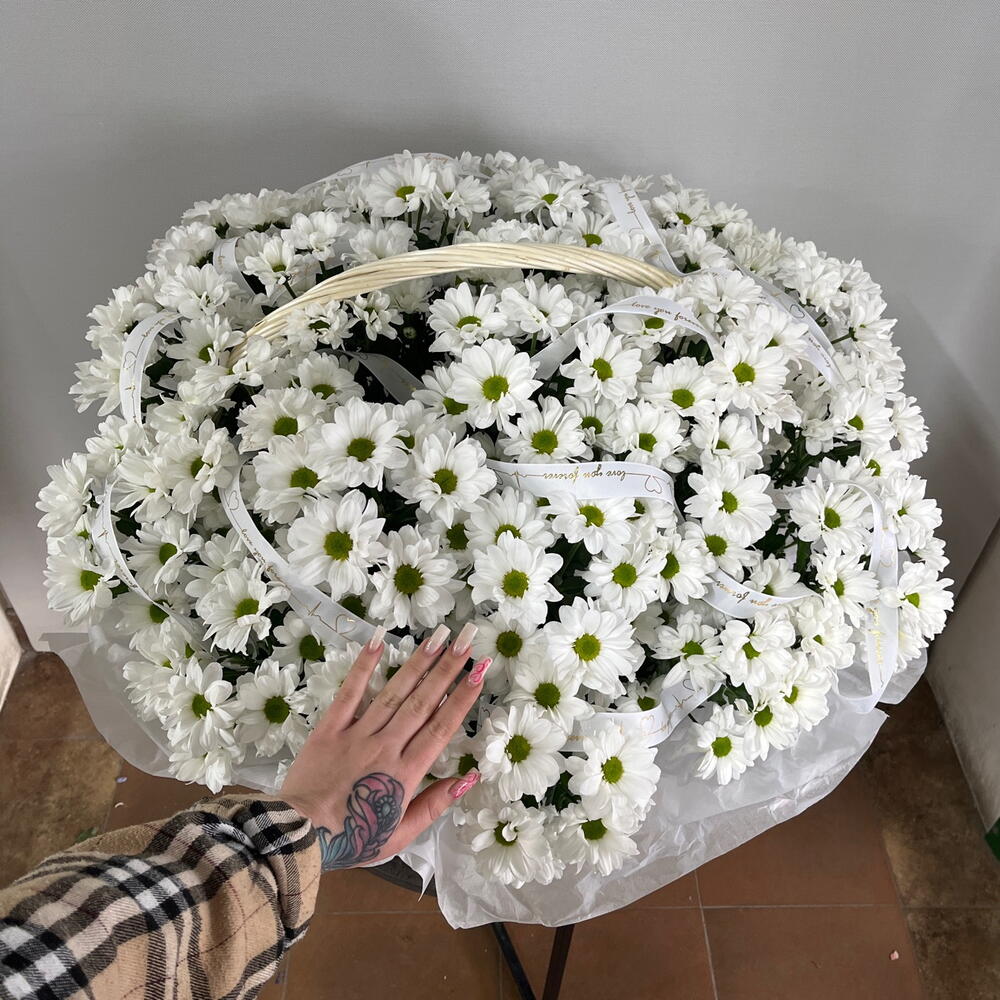 Корзина с ромашками хризантема XXXXL🤍