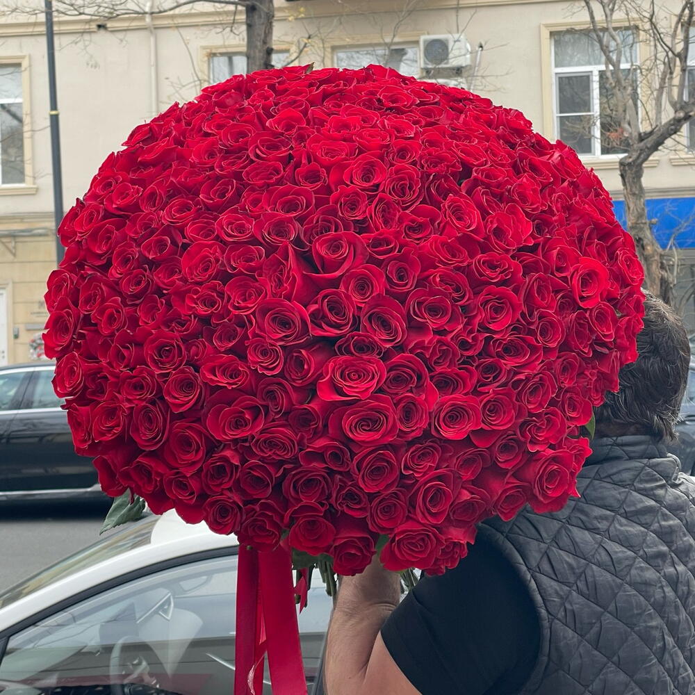 251 роз️‍🔥