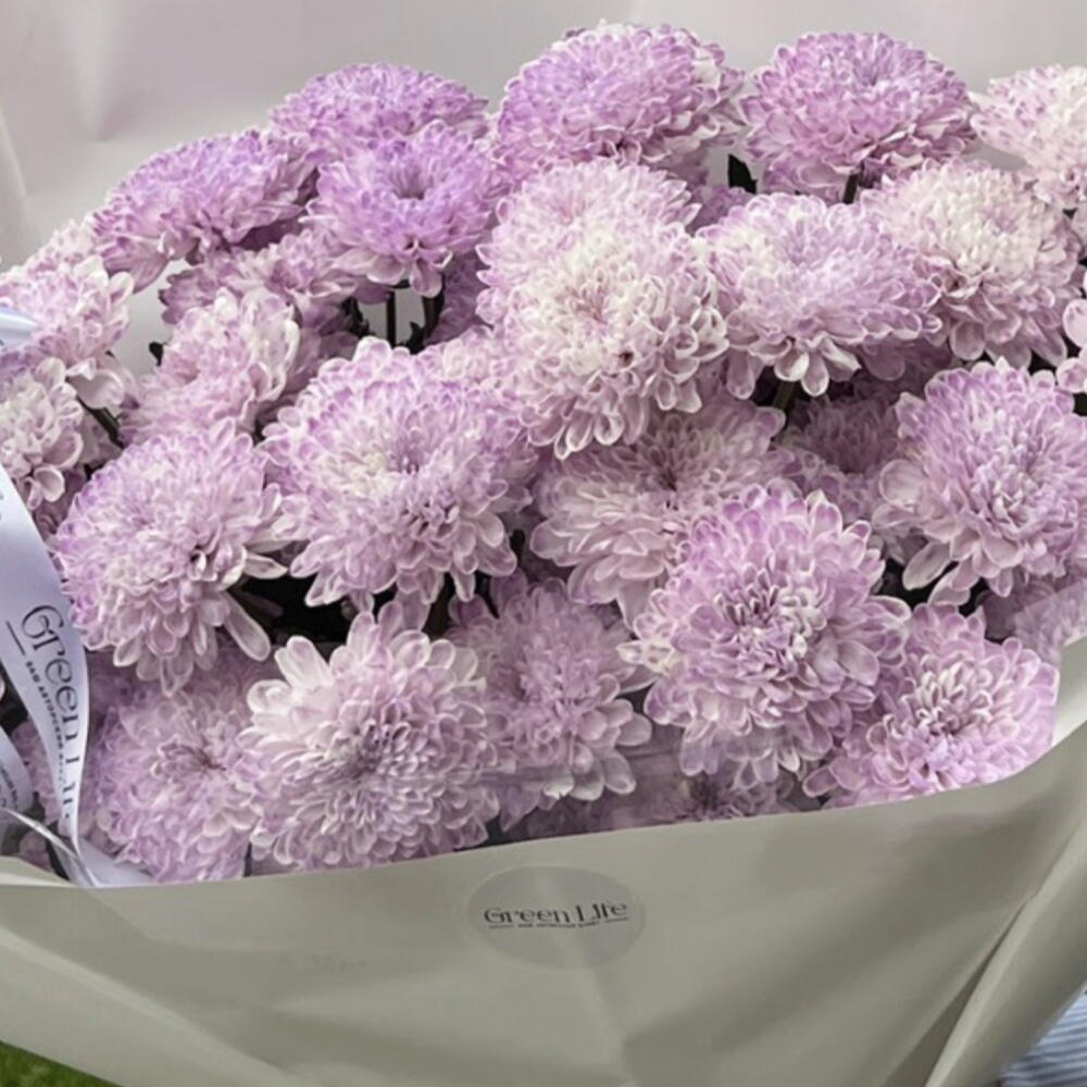 Violet love