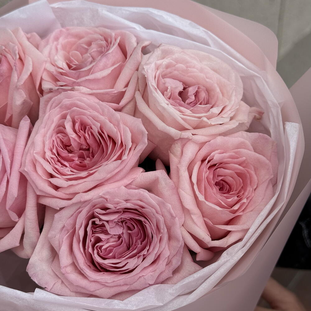 Моно букет из 7 роз Pink Ohara