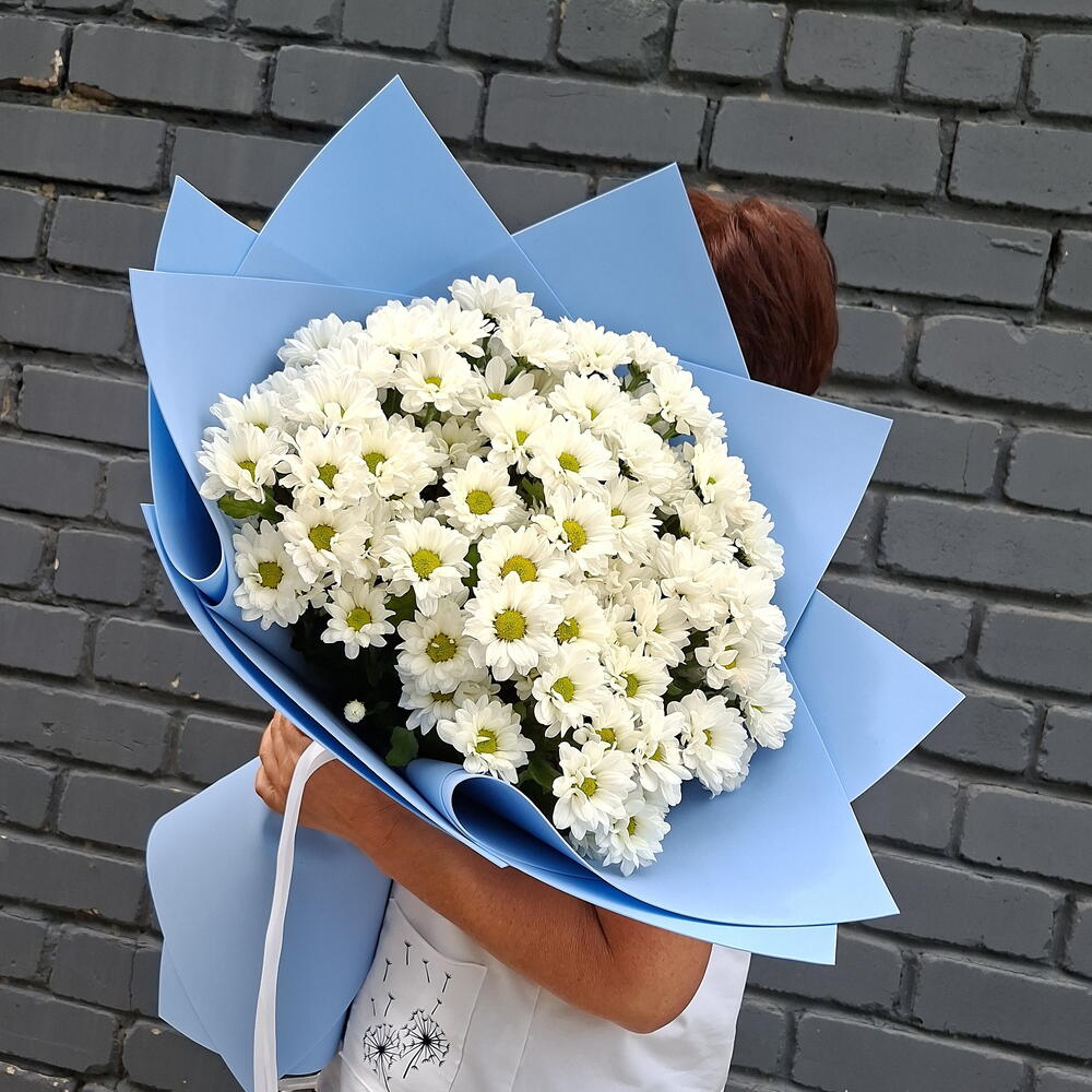Ромашки в голубом