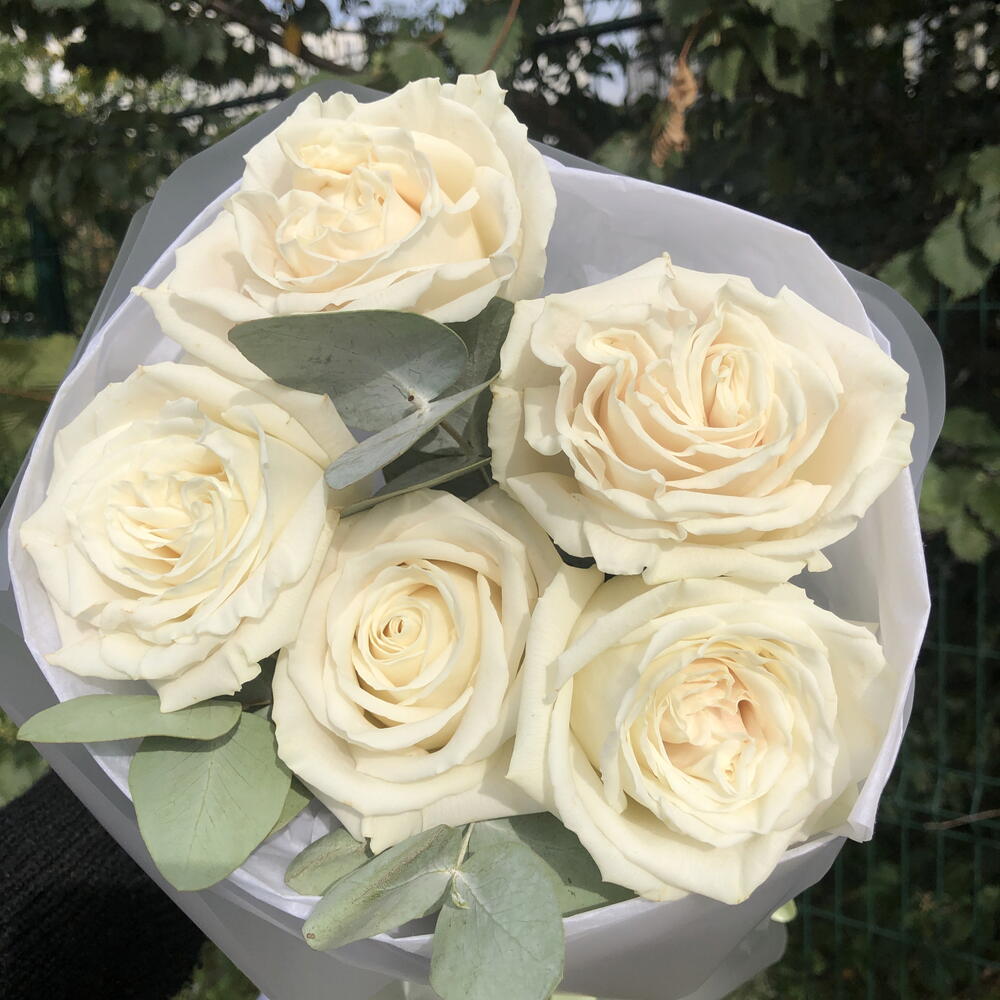 🤍Белые розы букет Bloom Room