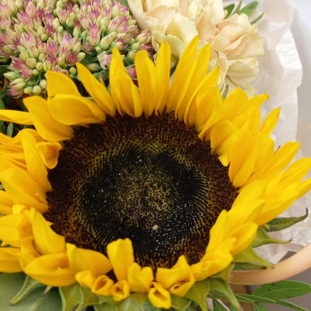 Сумочка с подсолнухом 🌻