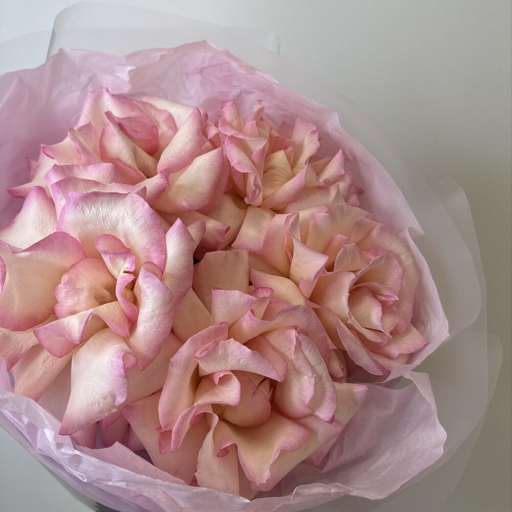 розовое облако 🌺bloom room