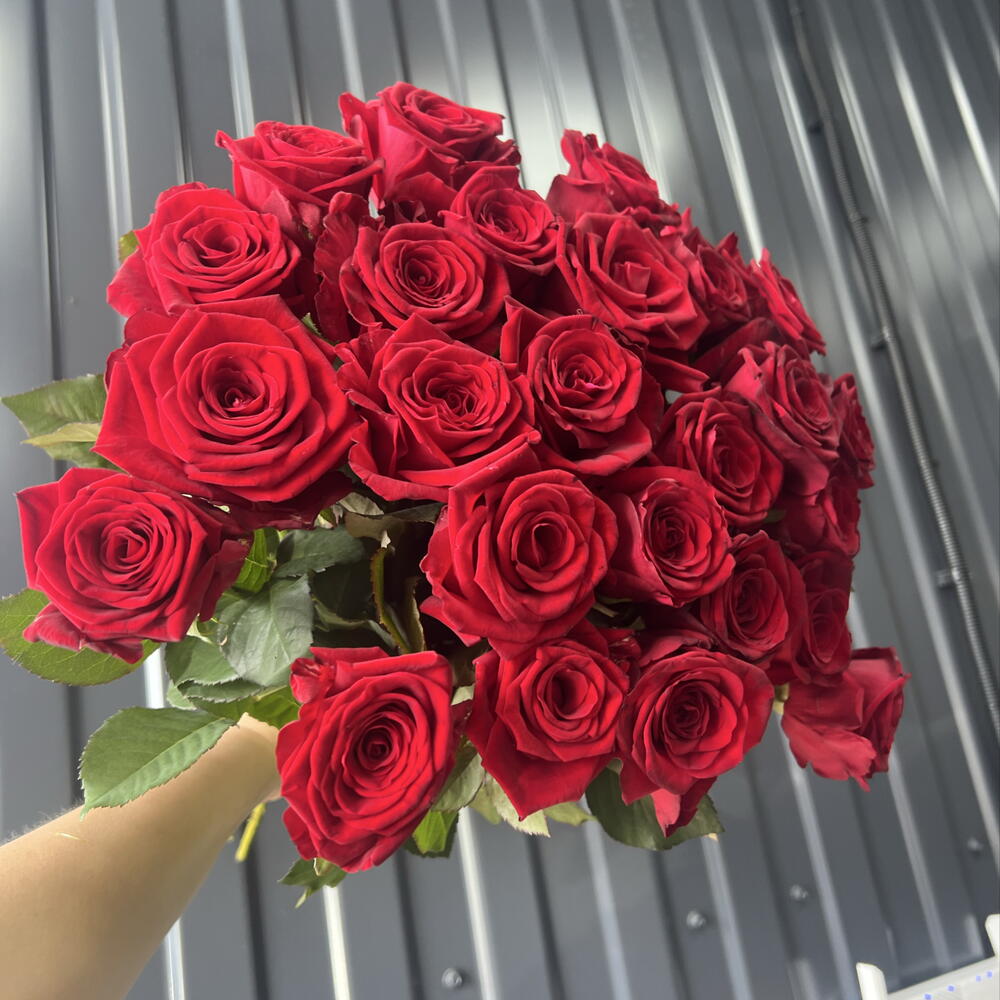 25 алых роз ♥️