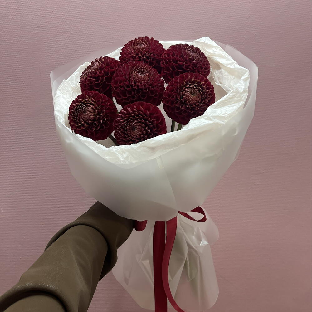 Георгины в белом