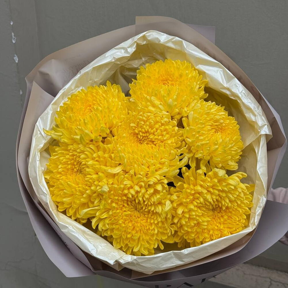 Yellow chrysanthemums bigudi