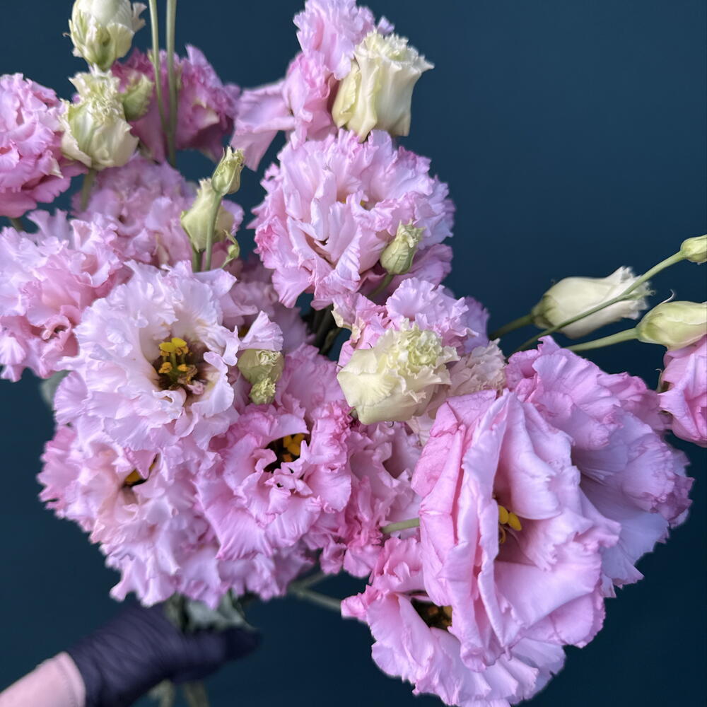 Букет-комплимент из эустомы под ленту 🎀