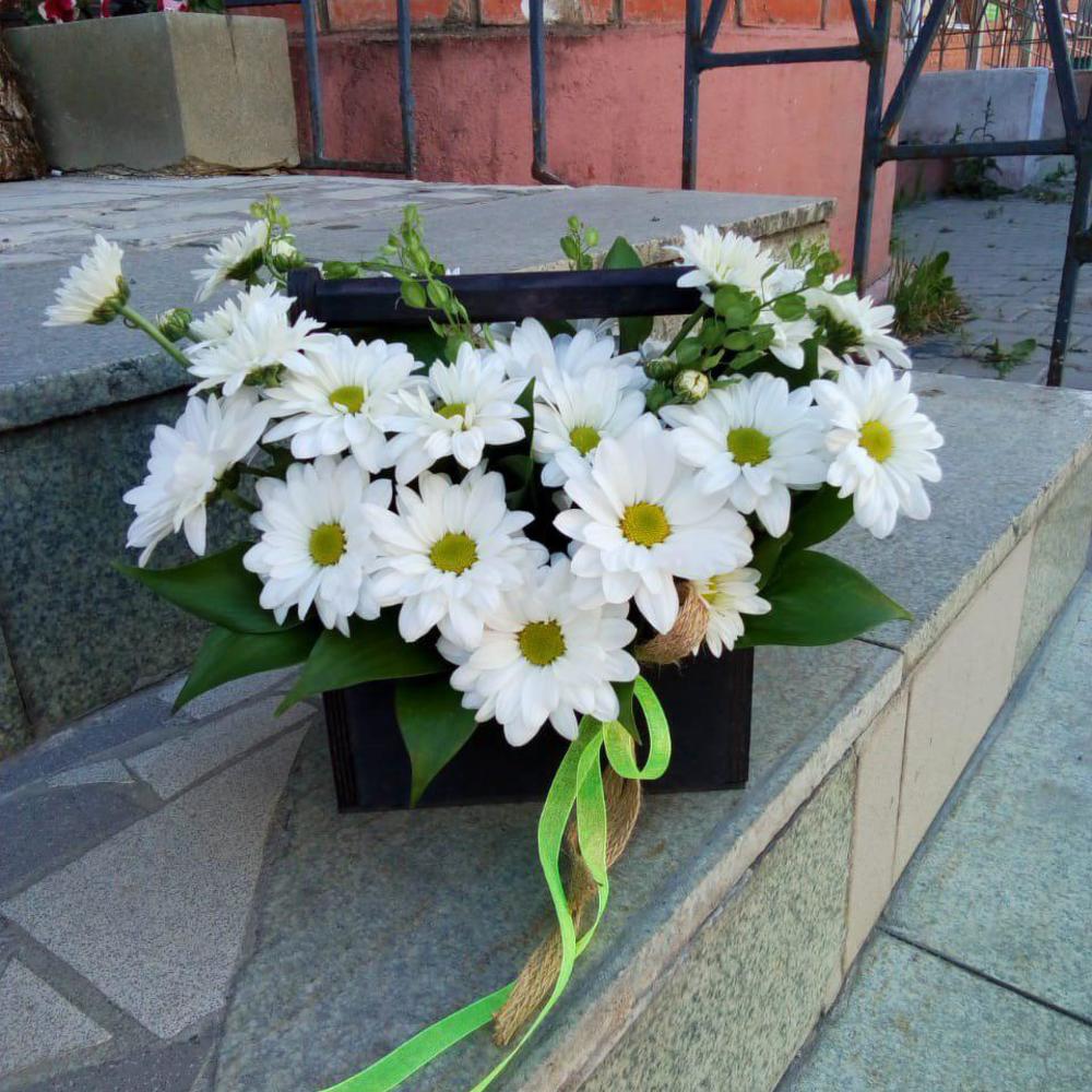 Ромашковый сорбет