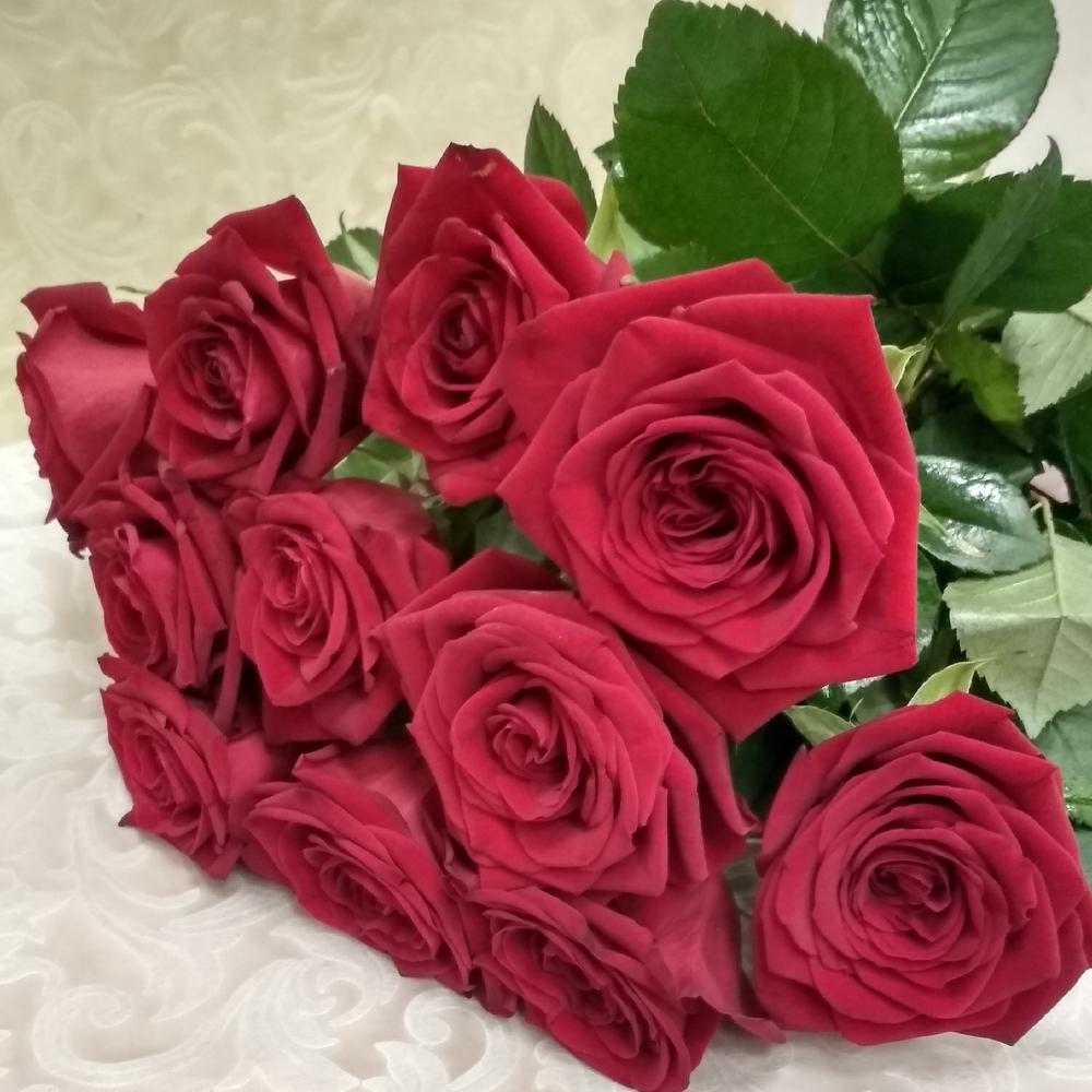 🥇 Красный бархат 13 бордовых роз ♥️