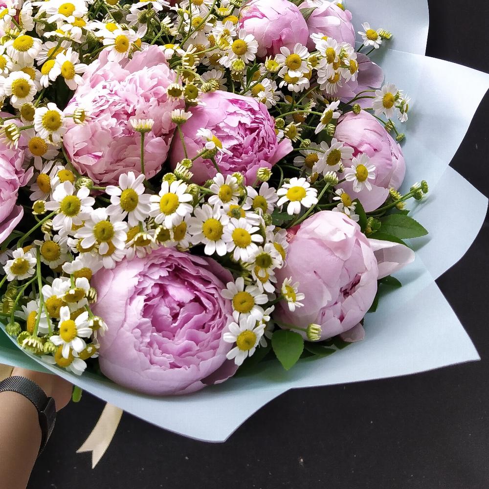 Primavera 💕
