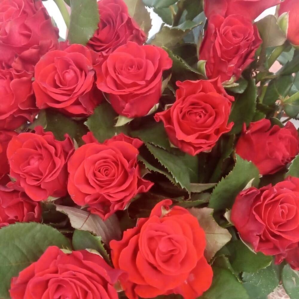 Красный бархат
