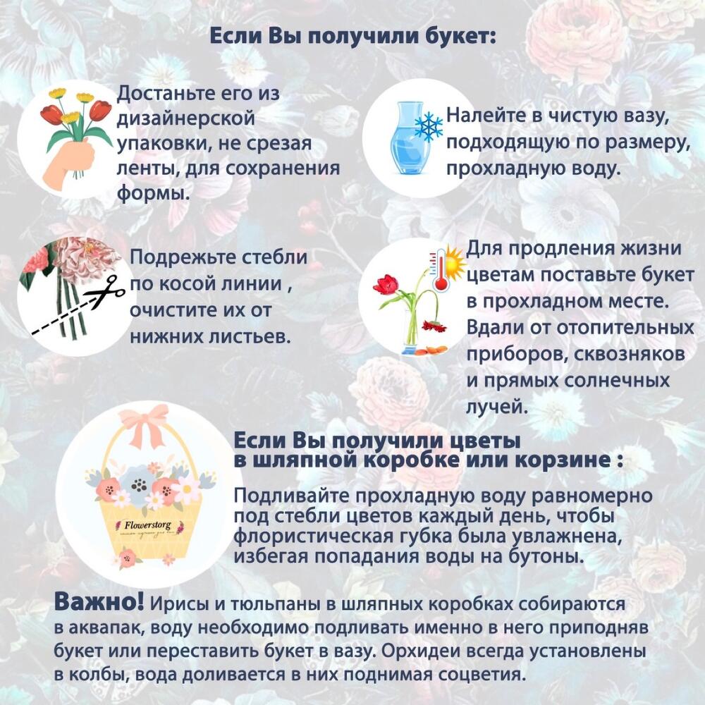 Букет пион роз Лимончелло 7шт от Flowerstorg N1030, Цветы Москва, Россия,  купить по цене 3990 руб, Монобукеты в Flowerstorg с доставкой | Flowwow