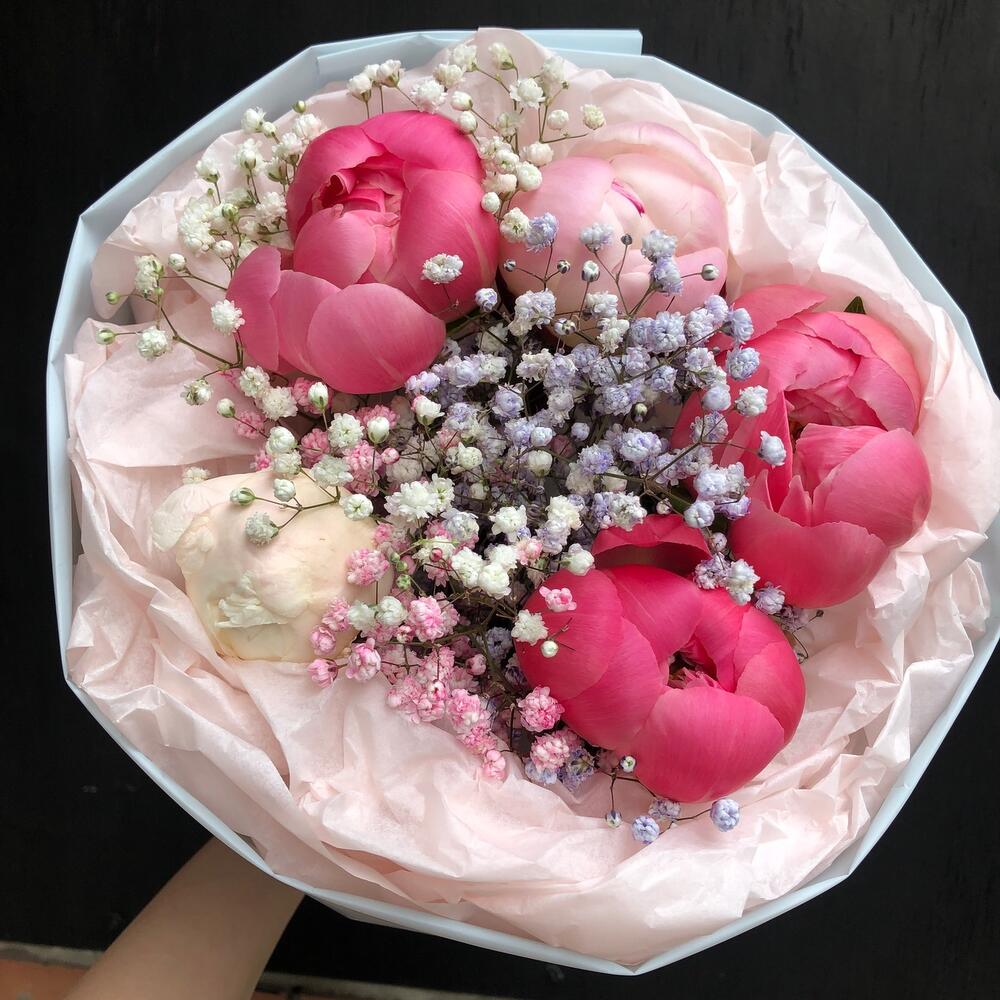 Bouquet of peonies