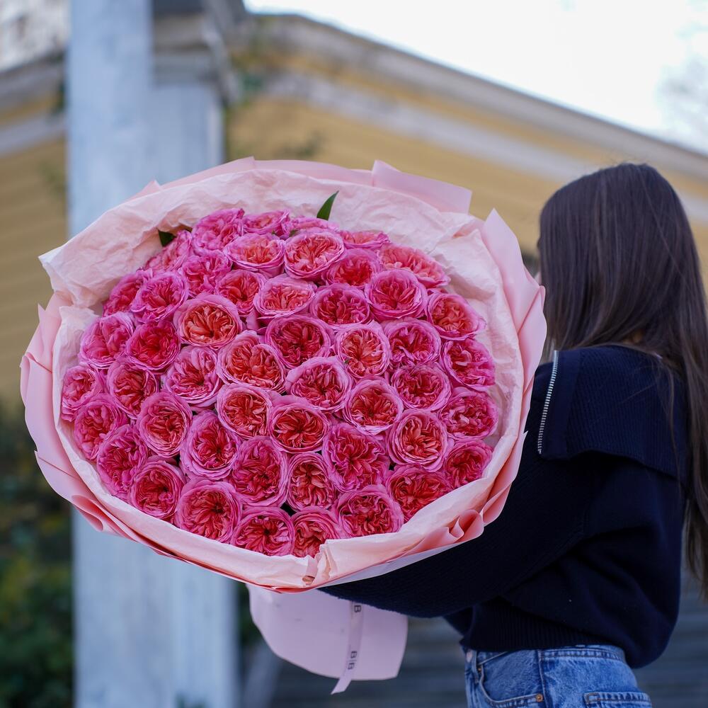 51 Piona bənzər holland roza