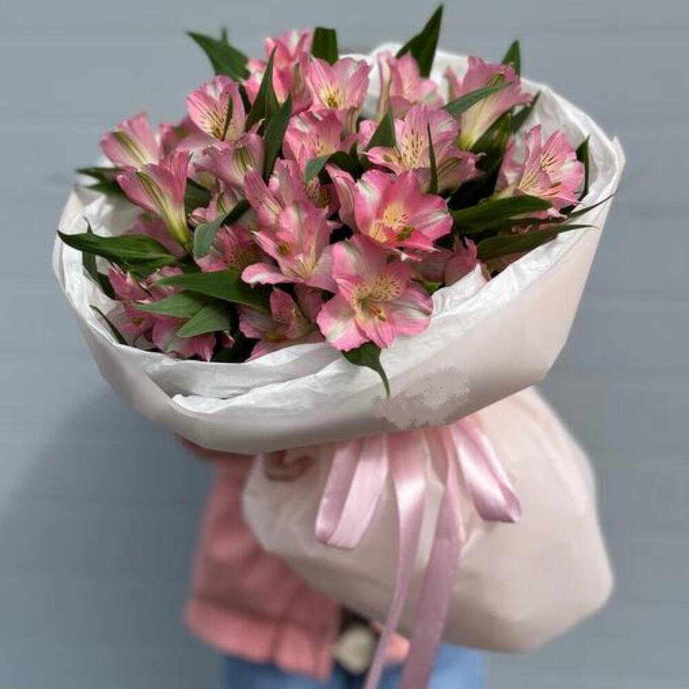Alstroemeria 💕