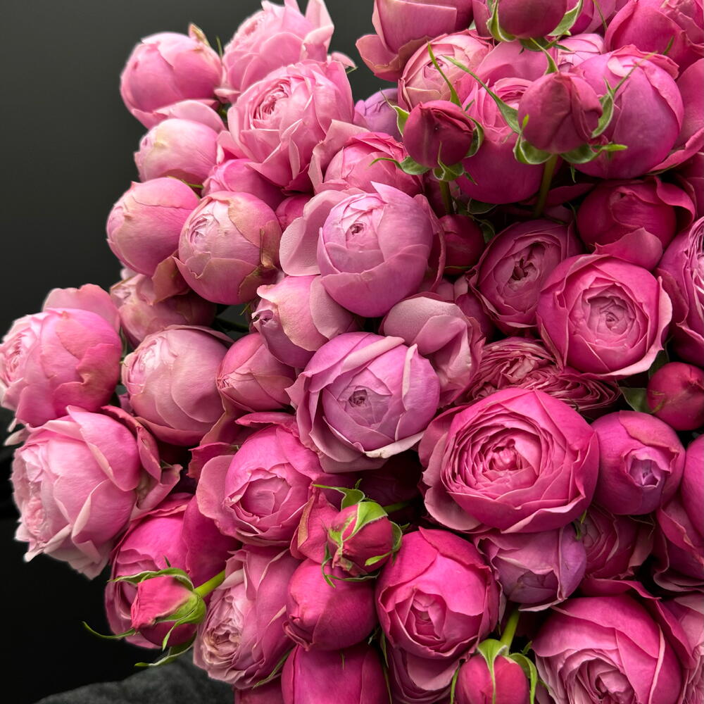 Кустовые розы Silva Pink