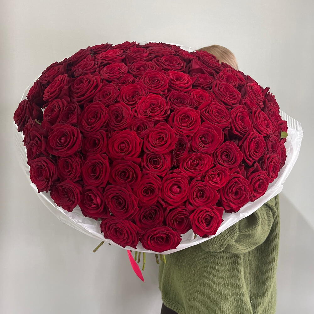 101 бордовая роза😍💋❣️