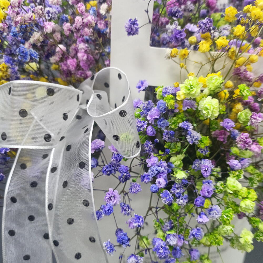Радужная гипсофила в сумочке🌸