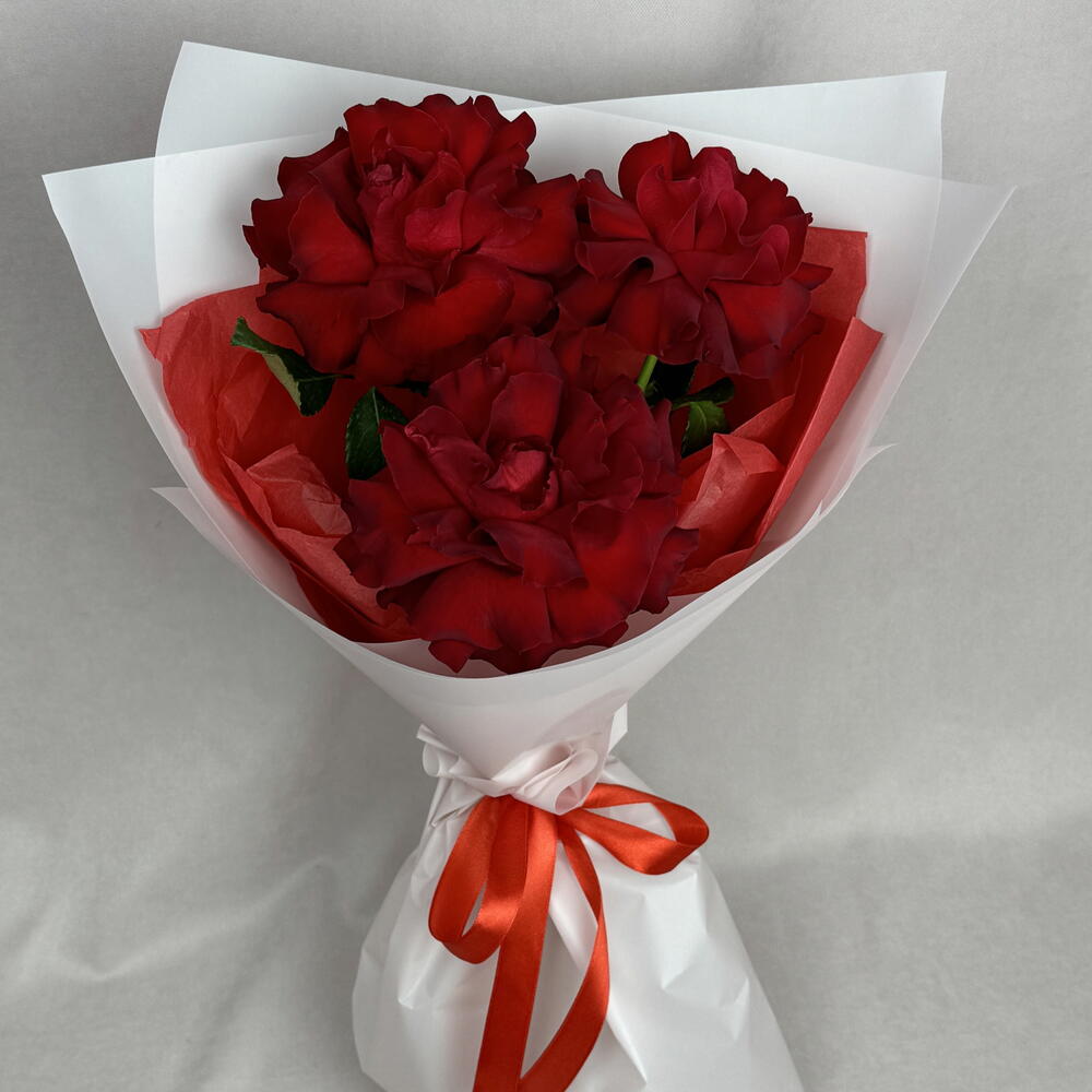 3 французские красные розы🌹