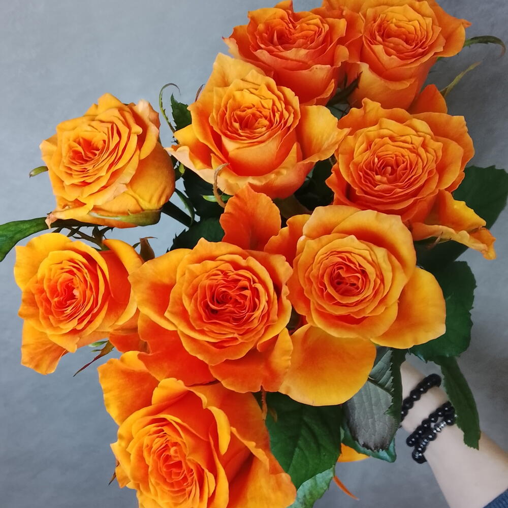 🧡розы одноголовые оранжевые