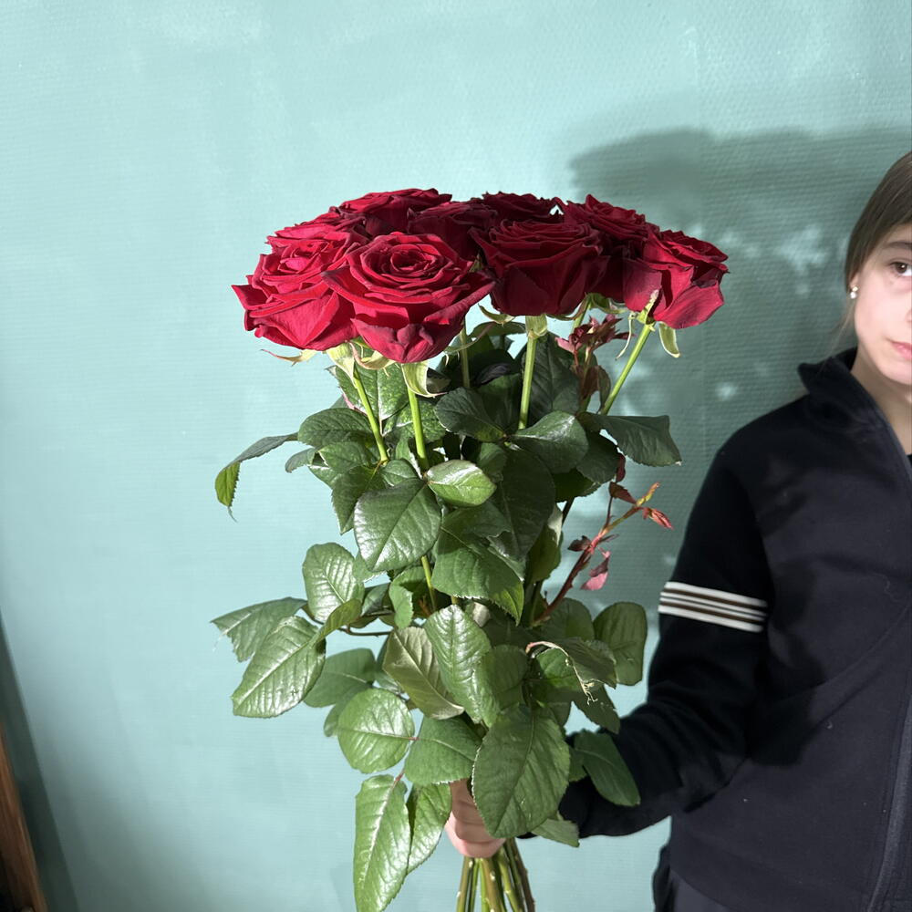 Роза 9 шт