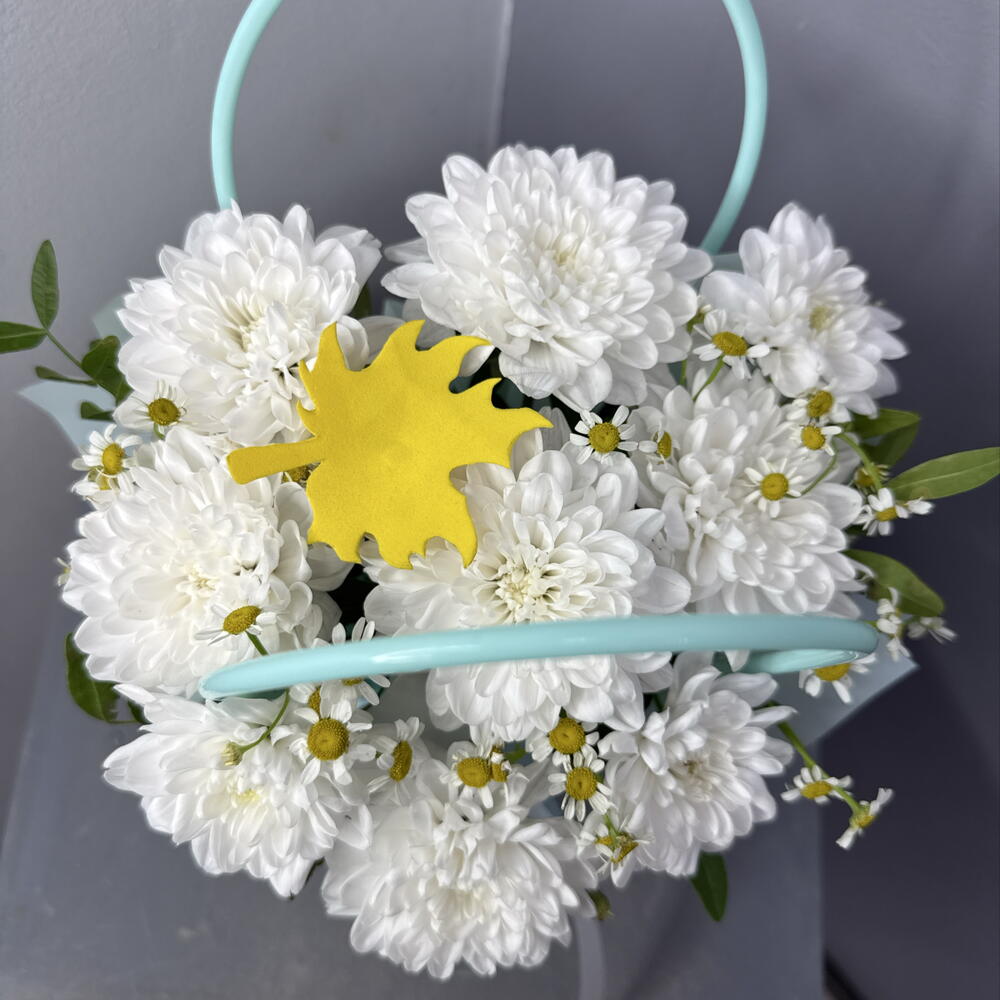 День знаний 23
