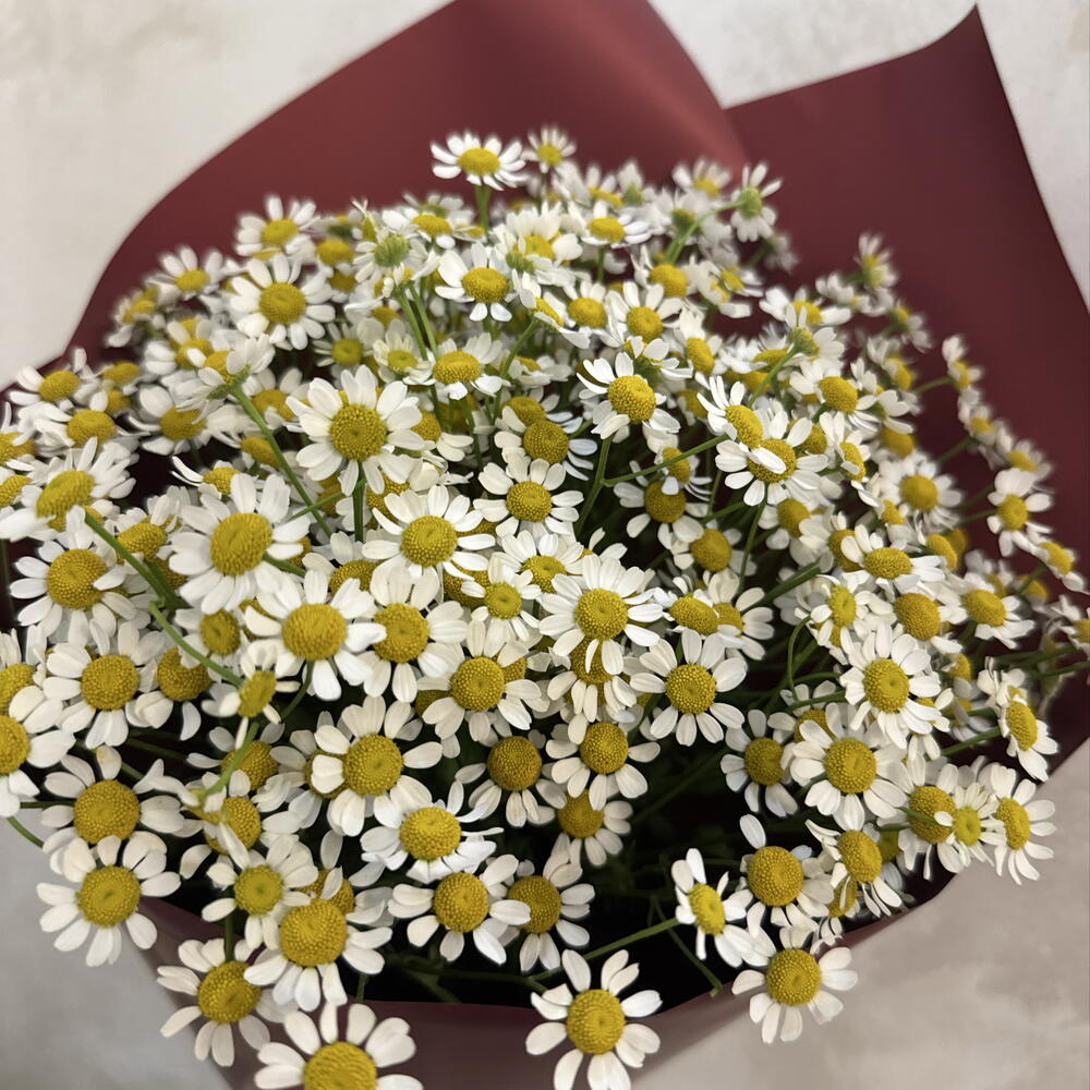 Ромашки из 9 шт