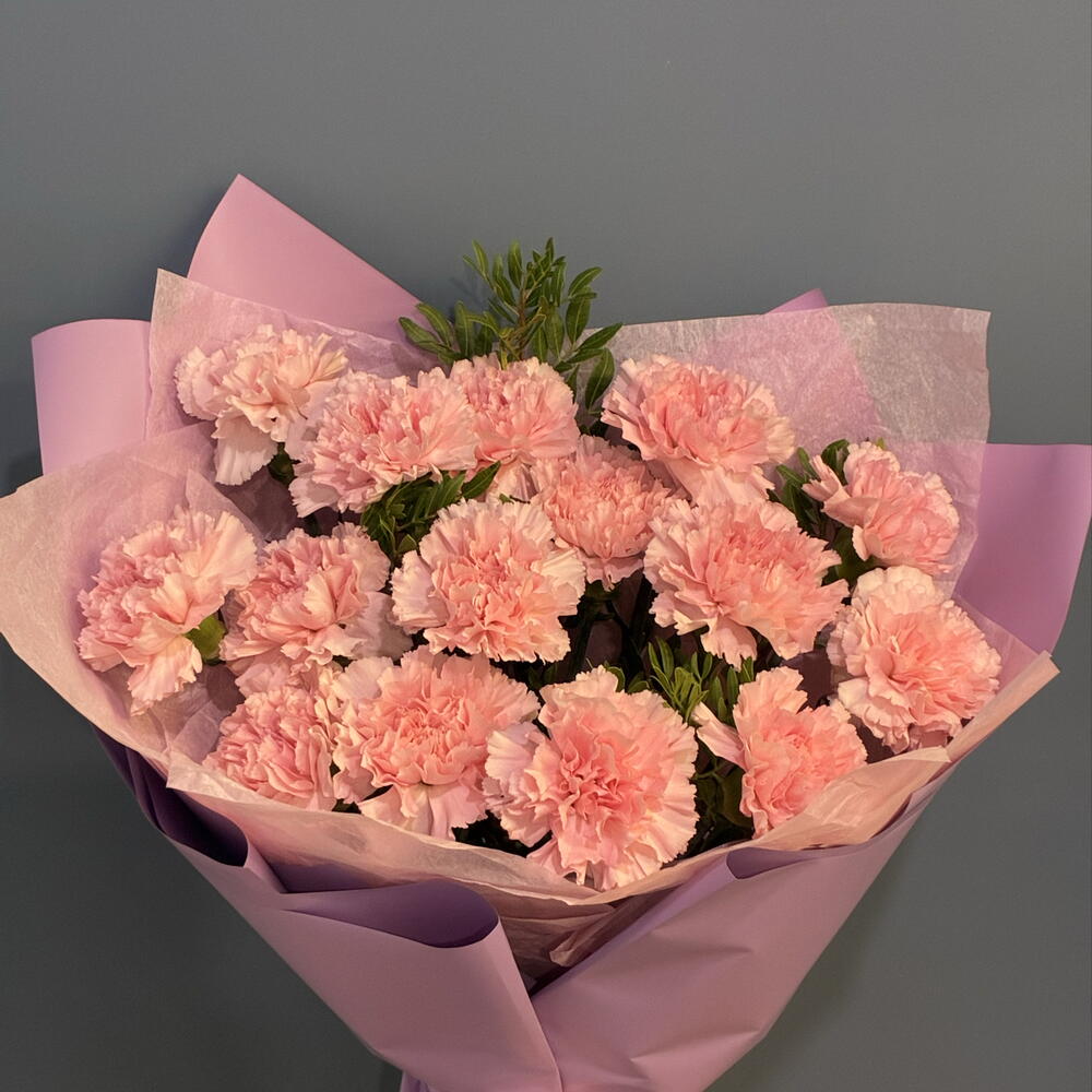 15 розовых диантусов